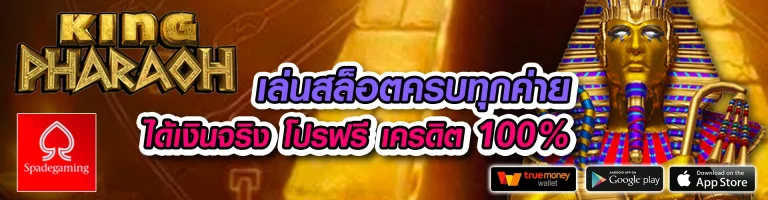 PGPOWERSIN