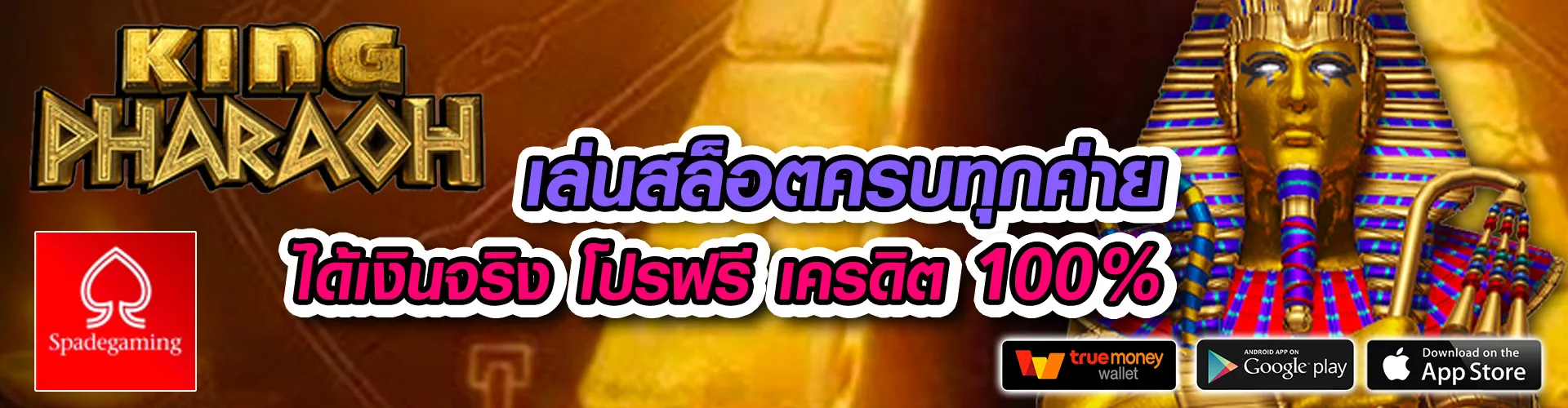 PGPOWERSIN